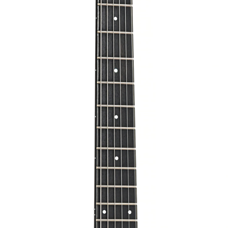 Fretboard of Taylor SB-2 Electric Guitar (2012)