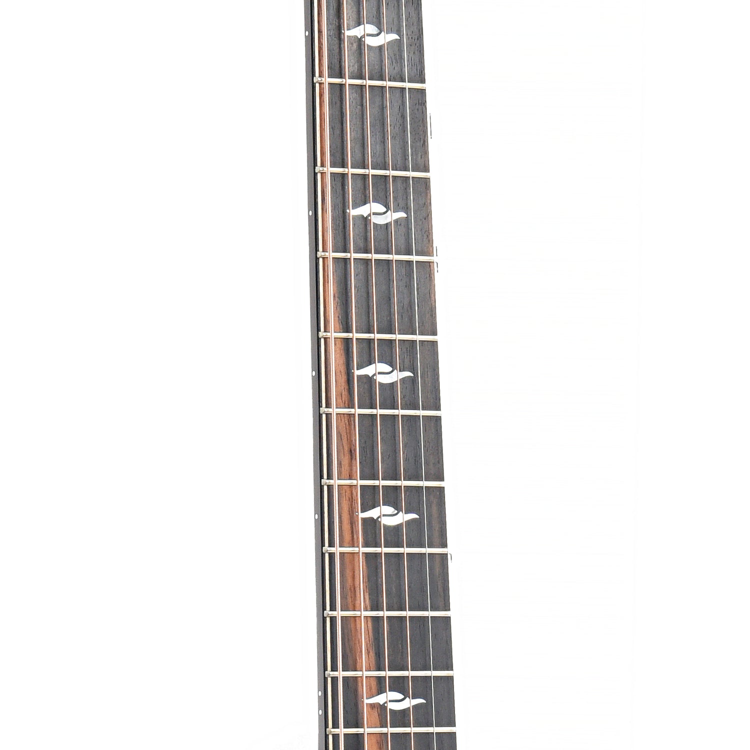 Fretboard of Taylor 814ce Acoustic Guitar 