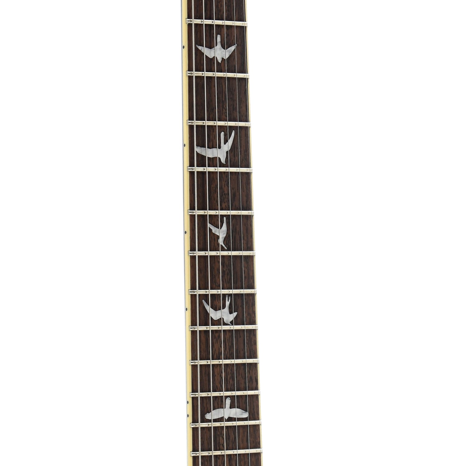 Fretboard of PRS SE Standard 24 Electric Guitar
