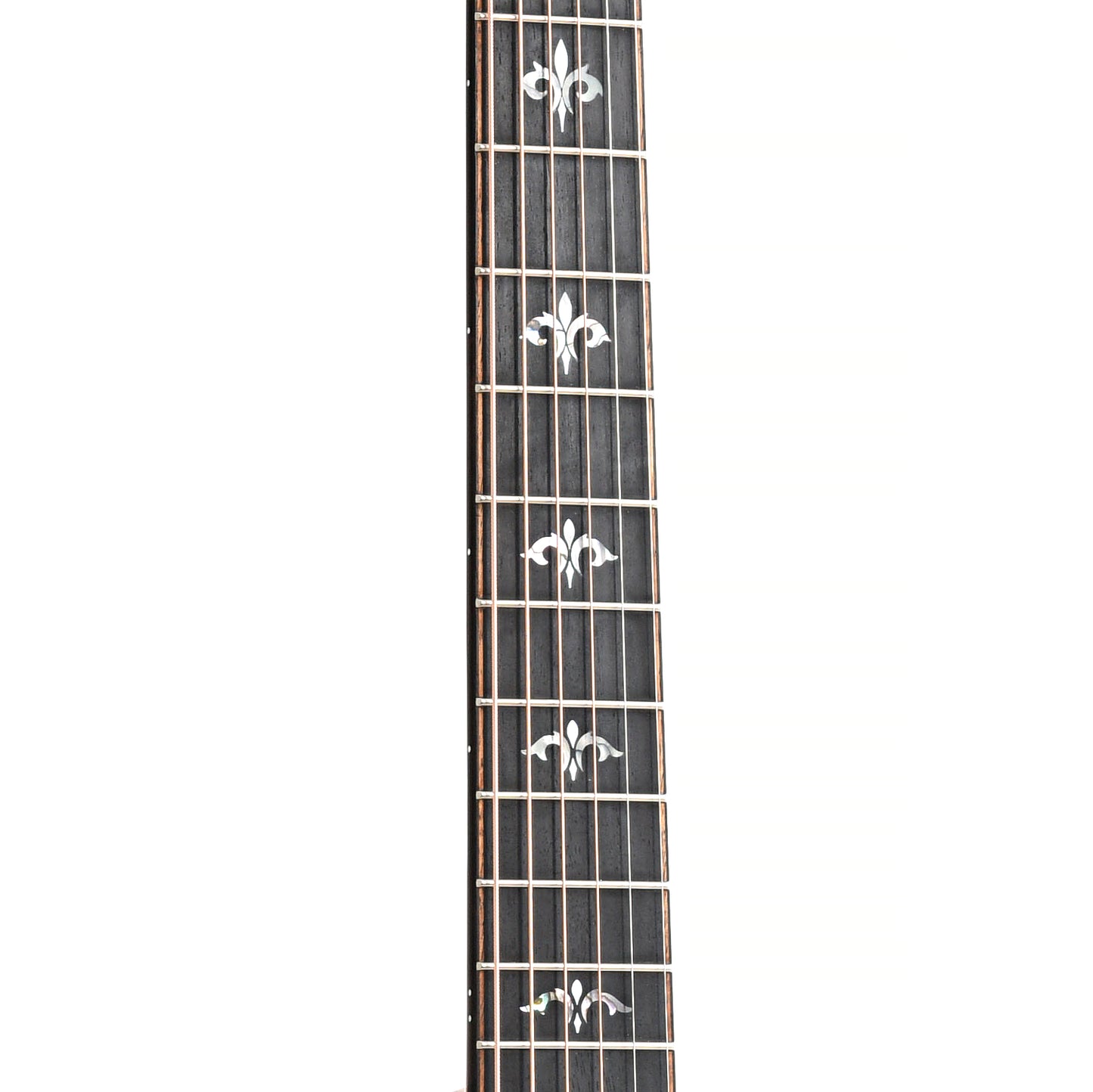 Fretboard of Taylor 914ce Acoustic Guitar