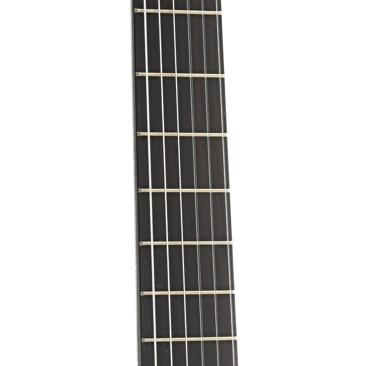 Fretboard of Cordoba C5 Classical Guitar