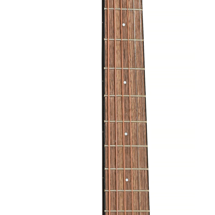Fretboard of Fender FA-115