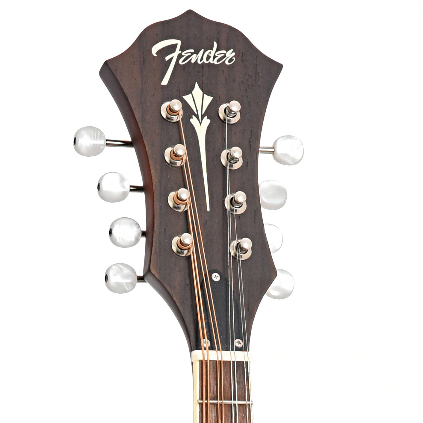 Front headstock of Fender PM-180E Mandolin