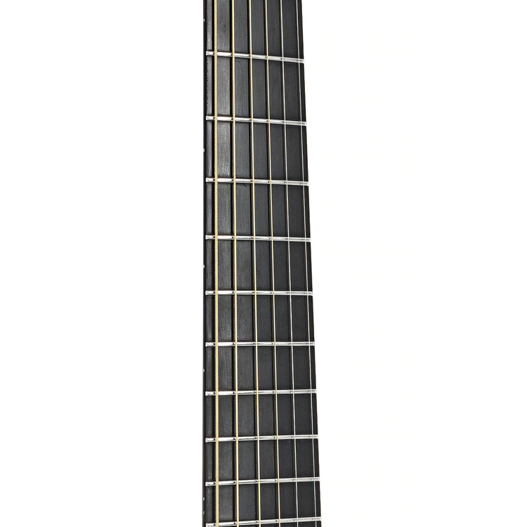 Fretboard of David Taylor Brescia Acoustic Guitar