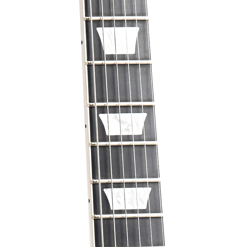 Image 8 of Gibson Les Paul Signature Player Plus (2018) - SKU# 30U-208396 : Product Type Solid Body Electric Guitars : Elderly Instruments