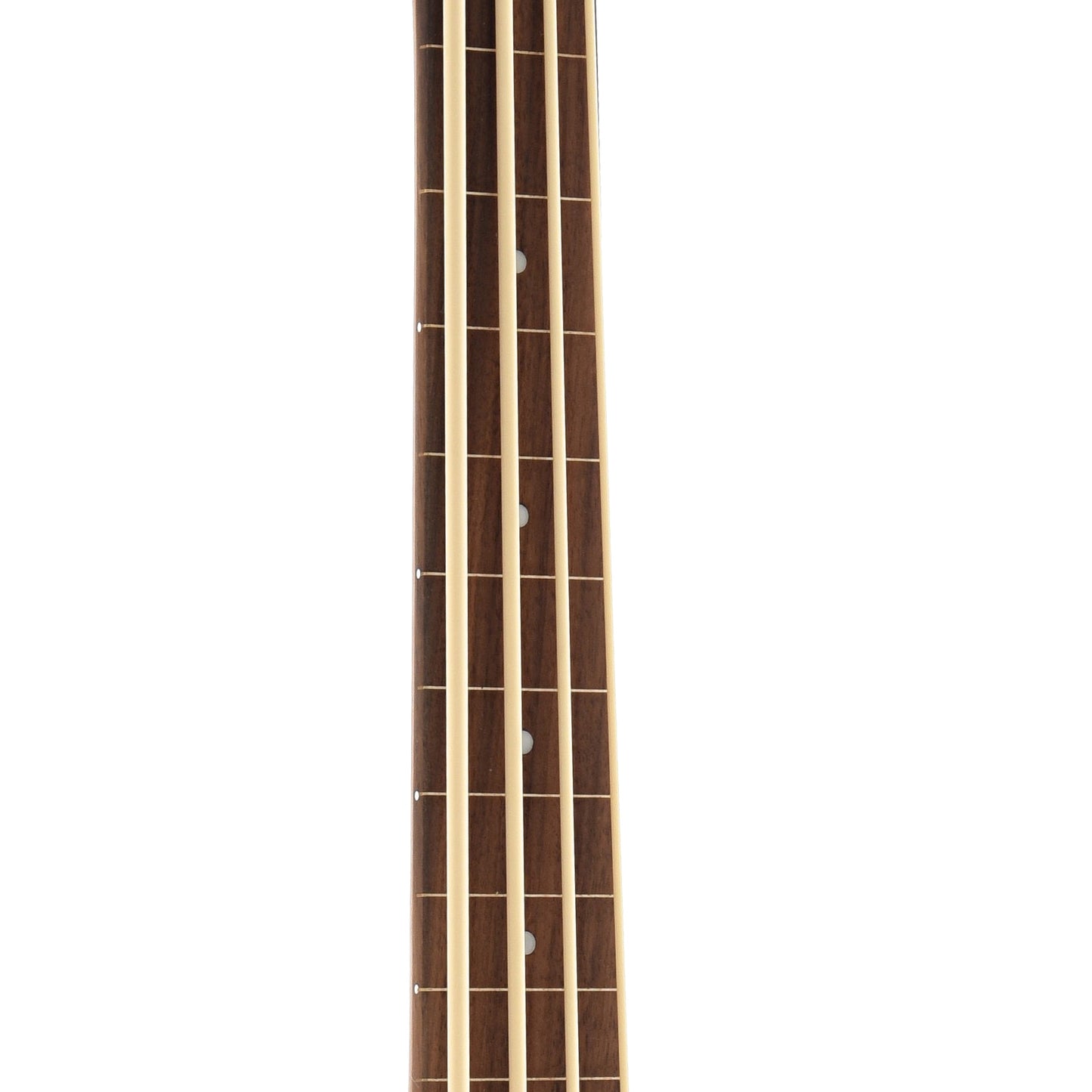 Image 5 of Gold Tone Fretless M-Bass & Gigbag - SKU# GTMBASSFL : Product Type Other Basses : Elderly Instruments