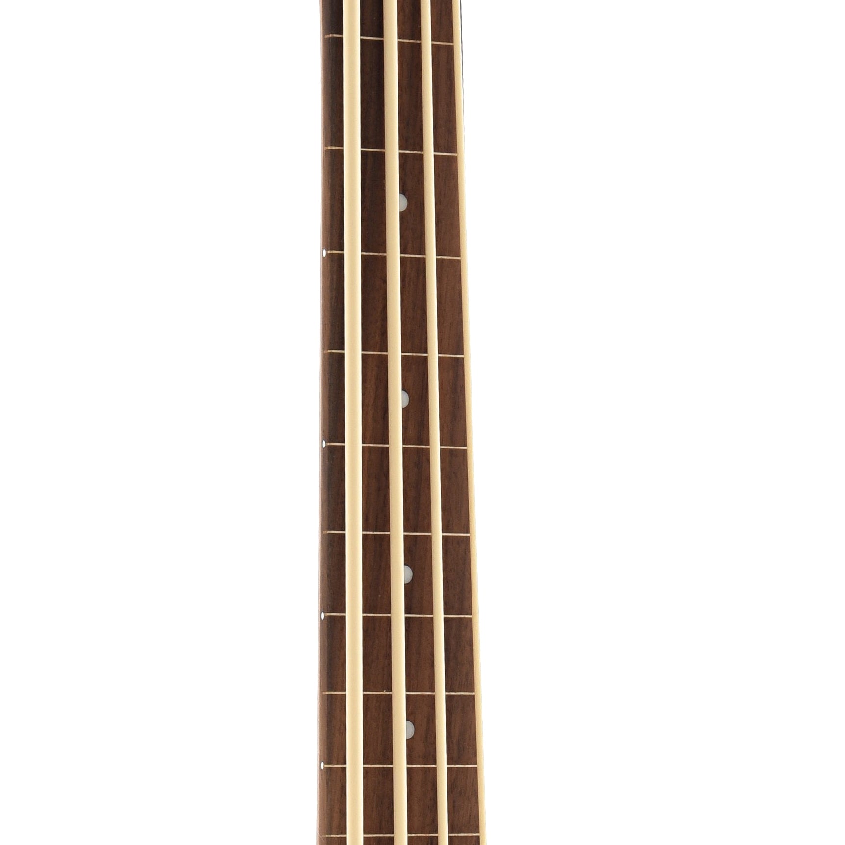 Image 5 of Gold Tone Fretless M-Bass & Gigbag - SKU# GTMBASSFL : Product Type Other Basses : Elderly Instruments