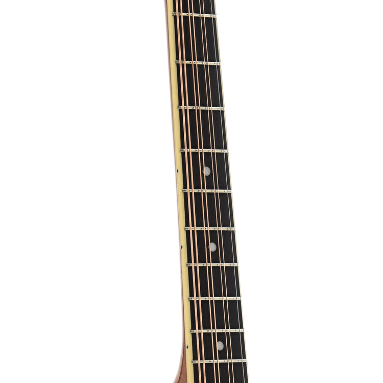 Fretboard of Gold Tone OM-800 Plus Octave Mandolin with Pickup