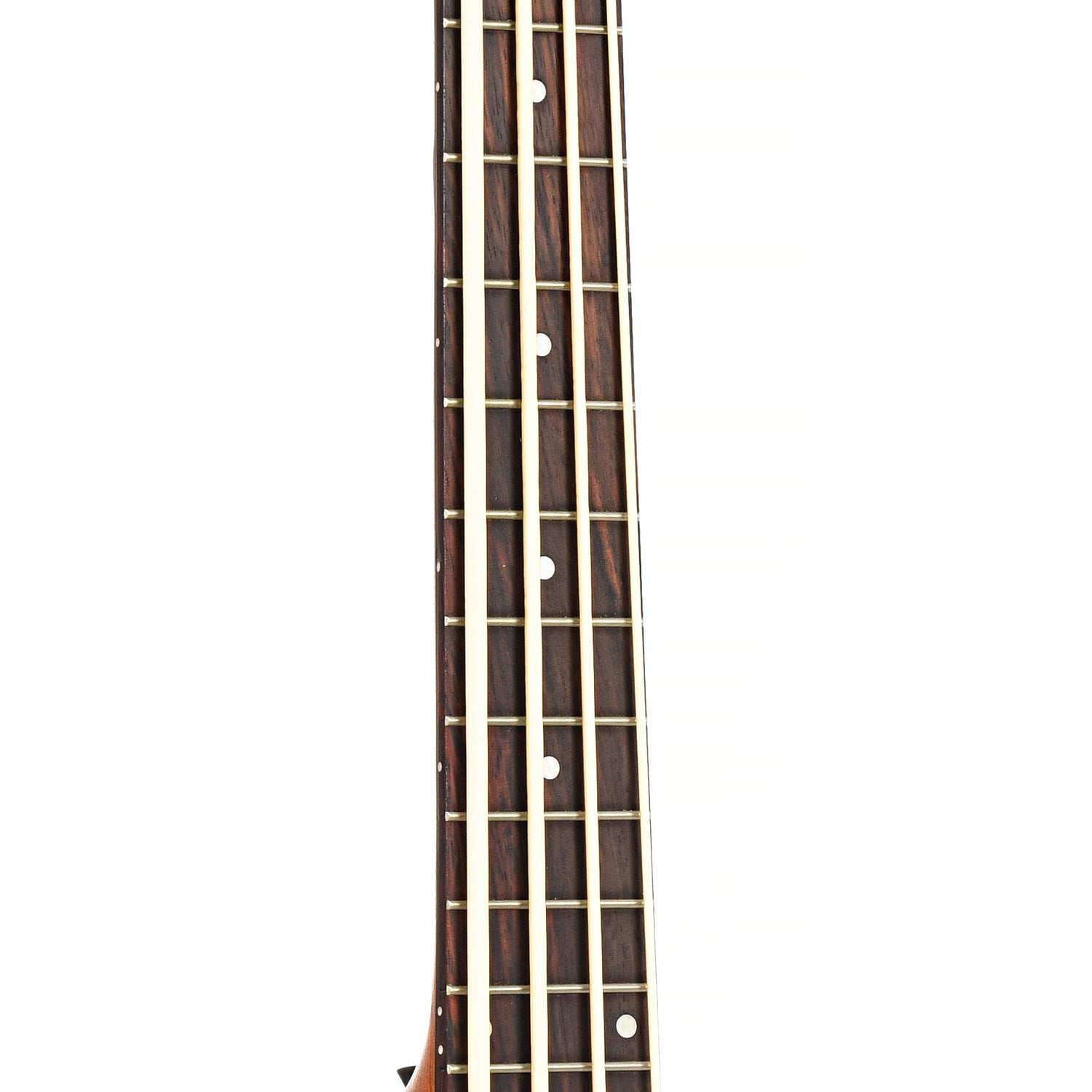 Image 6 of Gold Tone Acoustic-Electric MicroBass (2019) - SKU# 55U-210044 : Product Type Acoustic Bass Guitars : Elderly Instruments