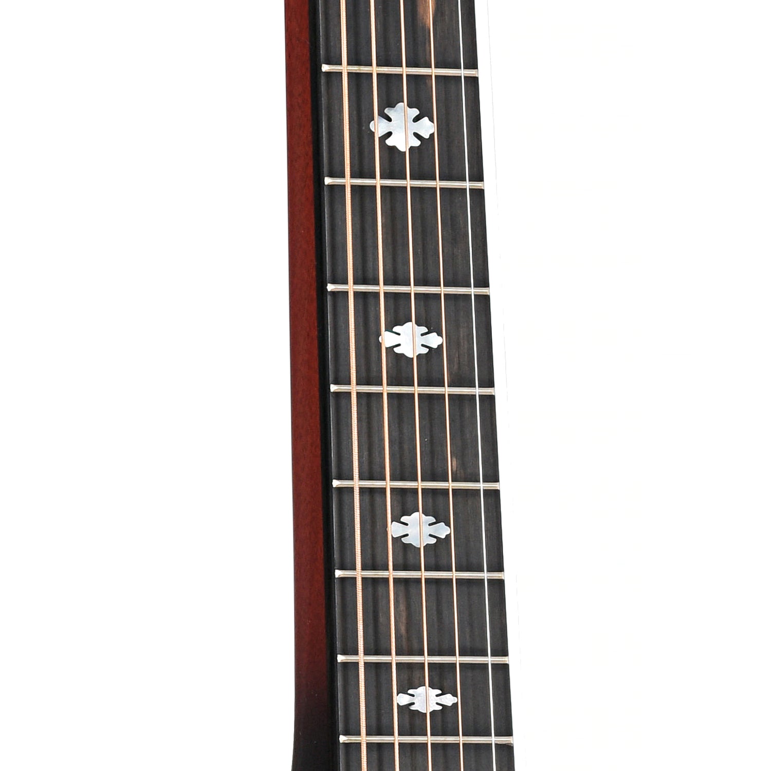 Image 6 of Beard Belle Beard E-Body Guitar & Case, with Pickup- SKU# BELLEBD-E : Product Type Resonator & Hawaiian Guitars : Elderly Instruments
