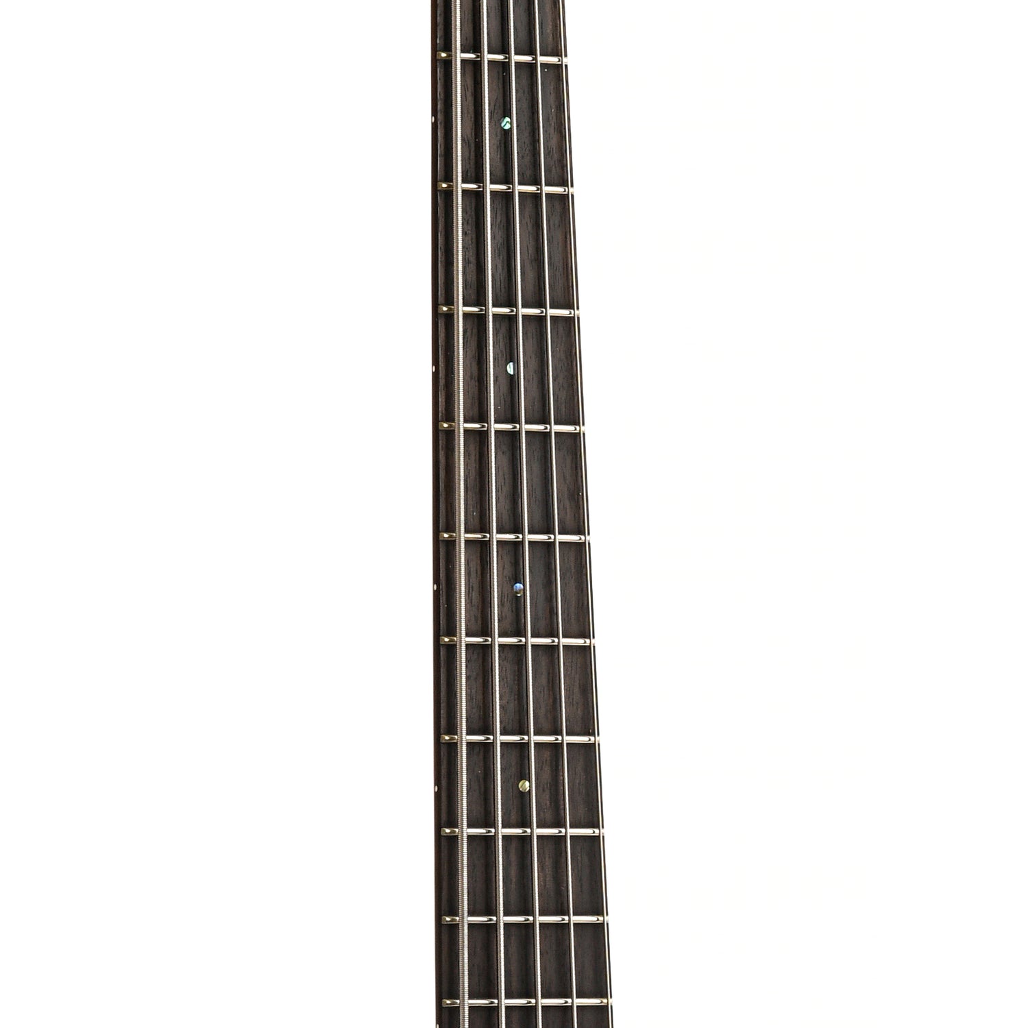 Fretboard of ESP LTD AP-5 5-String Bass