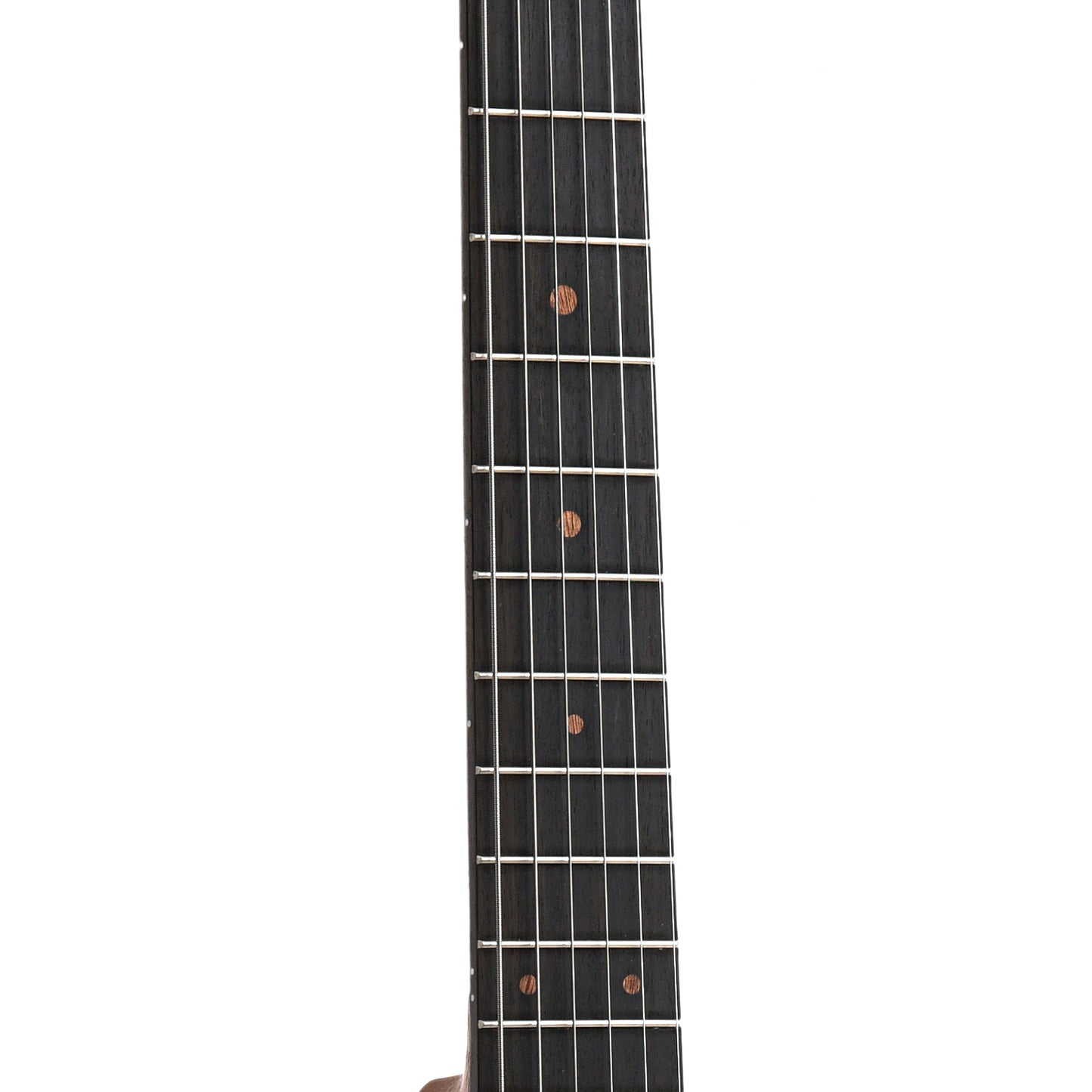 Fretboard of Martin 00L-17 Earth Guitar