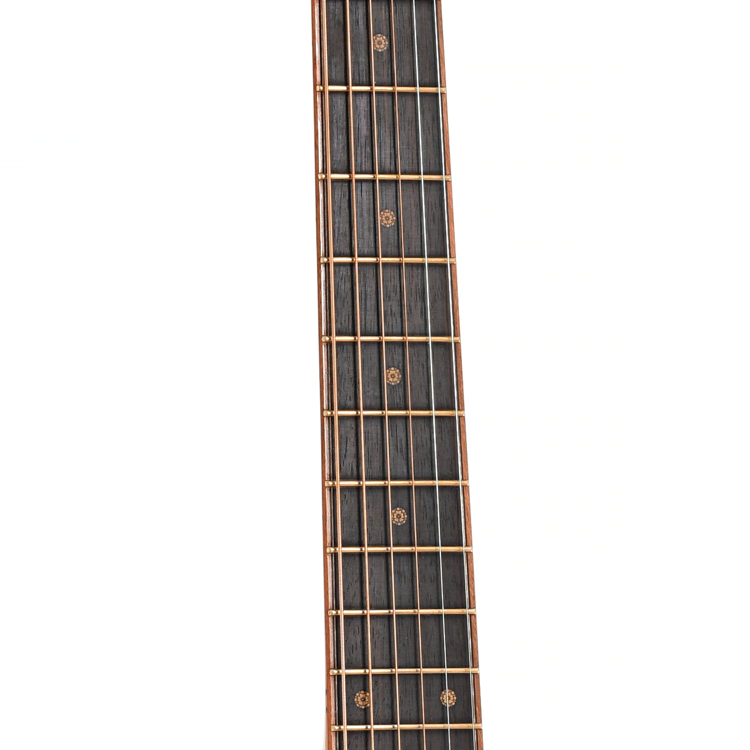 Fretboard of Petros Tunnel 13 GC Acoustic
