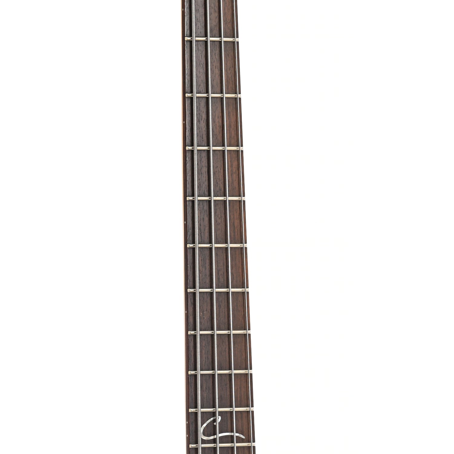 Fretboard of Peavey Cirrus Electric Bass 