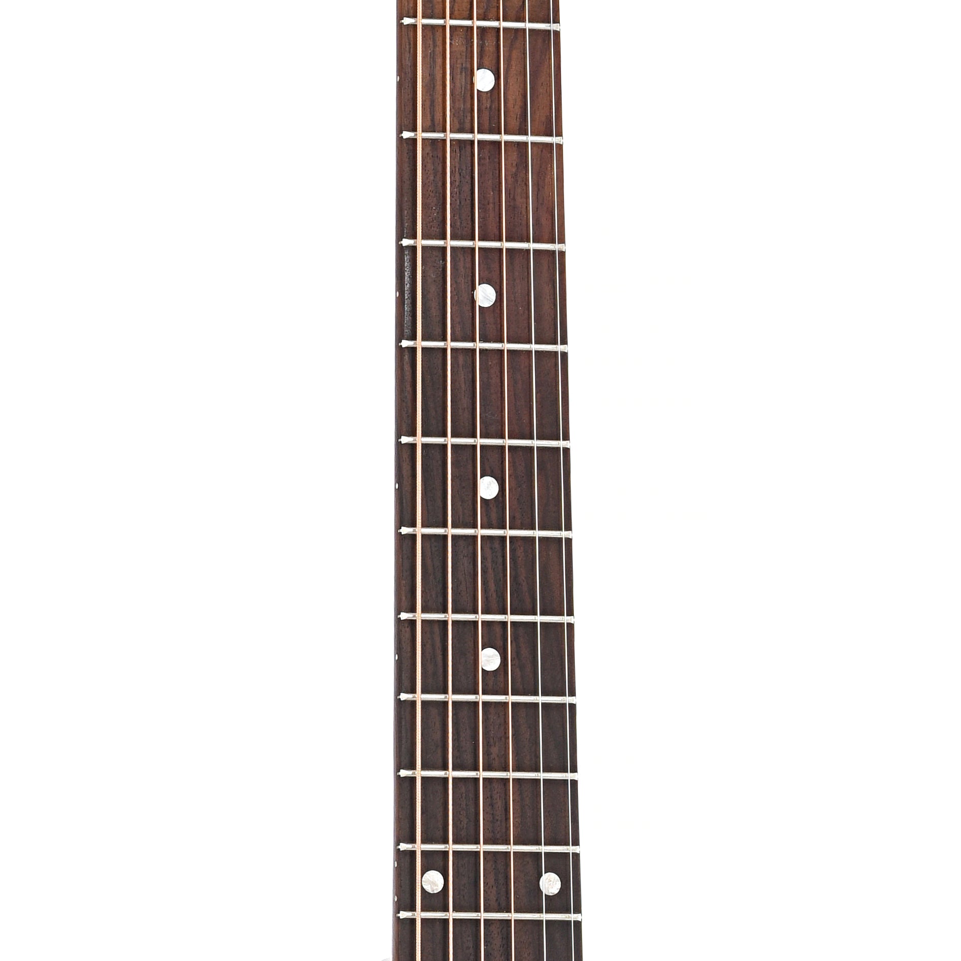 Fretboard of Seagull Performer Cutaway Concert Hall Burnt Umber