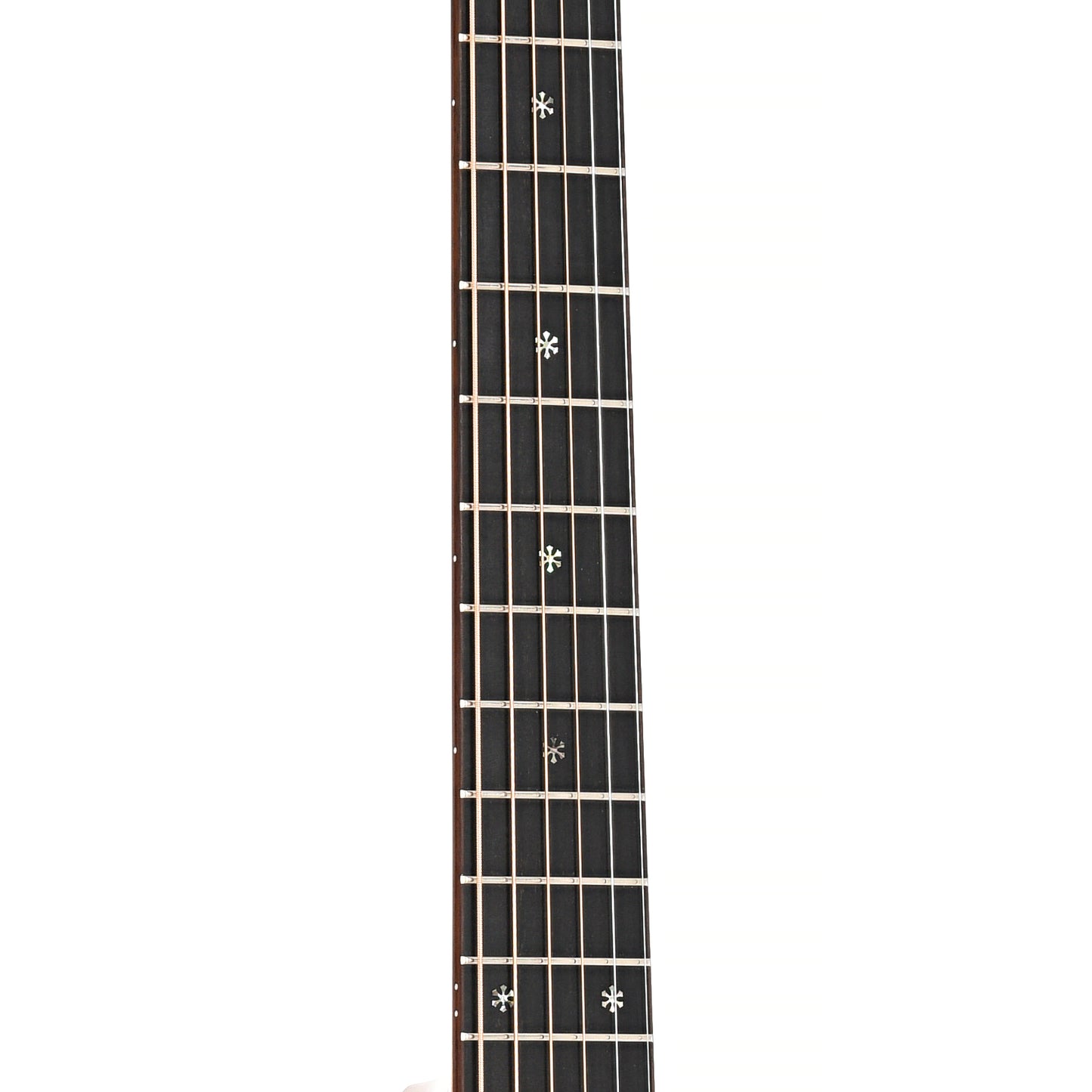 Image 6 of Taylor 600-SPEC (2003)- SKU# 20U-210763 : Product Type Flat-top Guitars : Elderly Instruments
