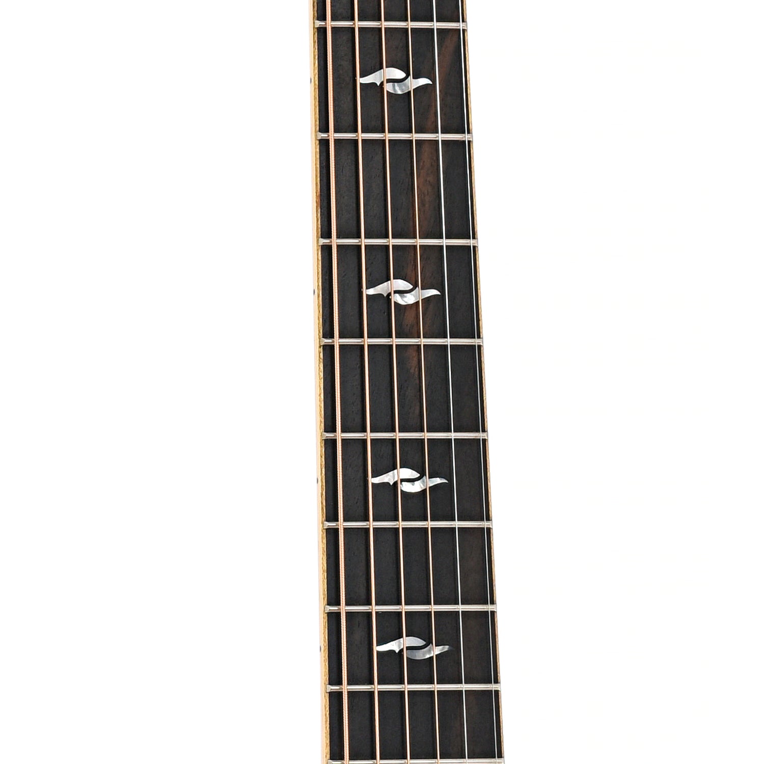 Fretboard of Taylor 812ce 12-Fret Acoustic-Electric 