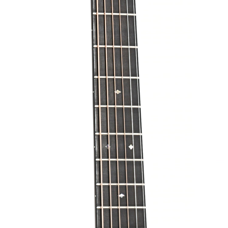 Image 6 of Santa Cruz D12 (2006)- SKU# 20U-208753 : Product Type Flat-top Guitars : Elderly Instruments