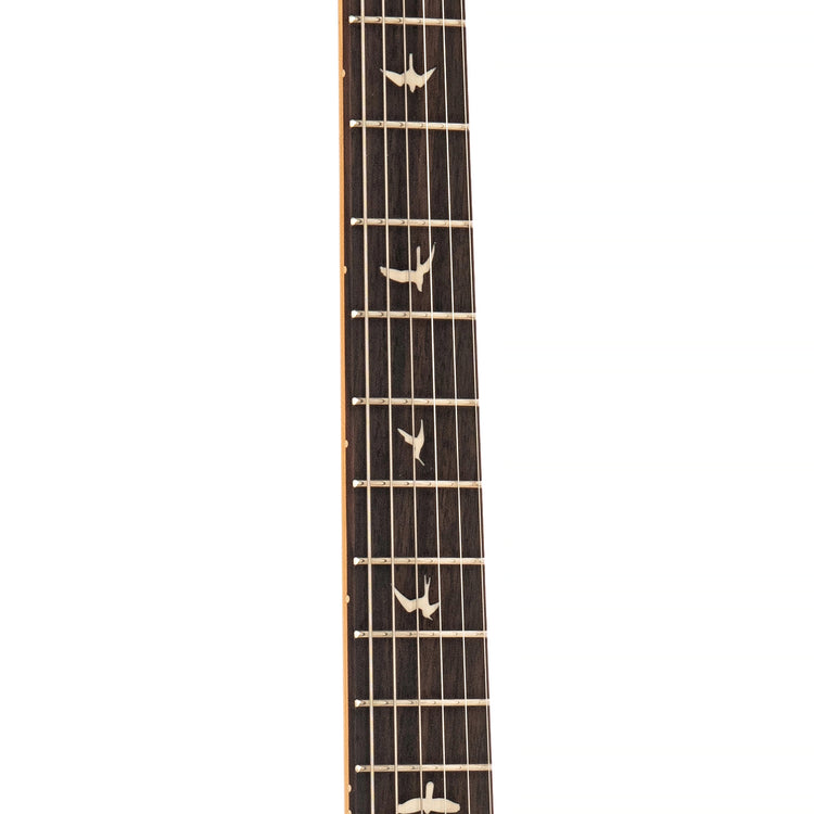 Fret board of PRS SE Silver Sky Electric Guitar