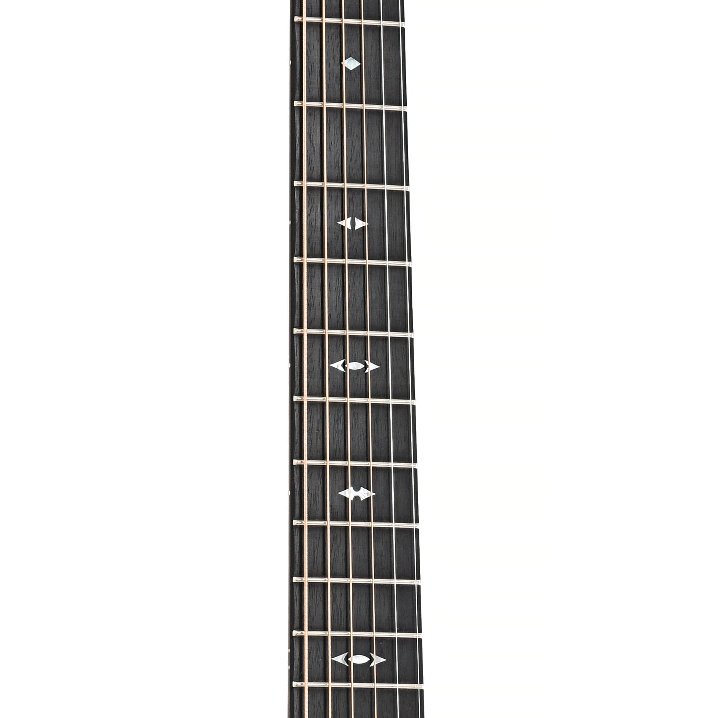 Fretboard of Taylor Builder's Edition 717