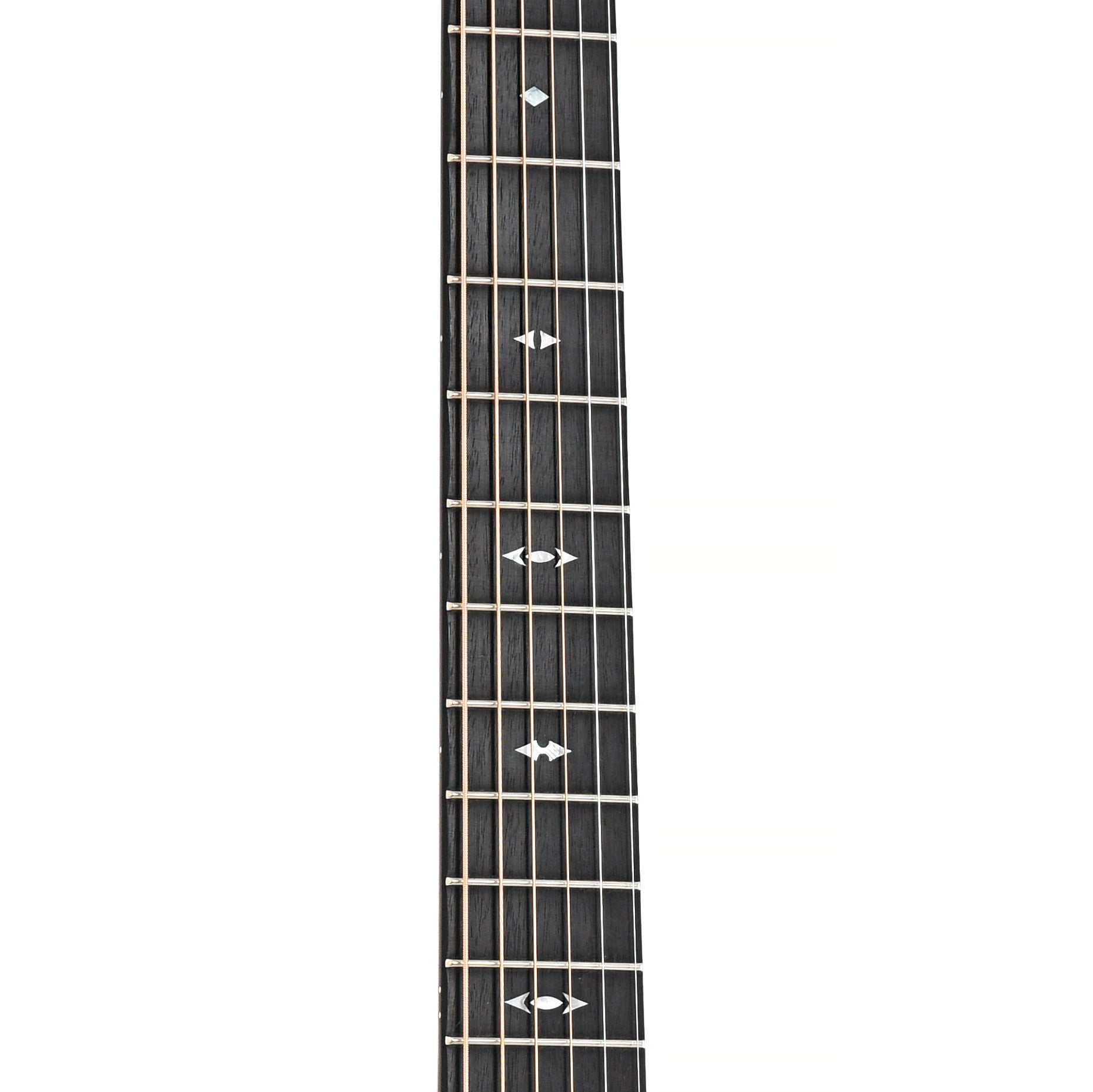 Fretboard of Taylor Builder's Edition 717