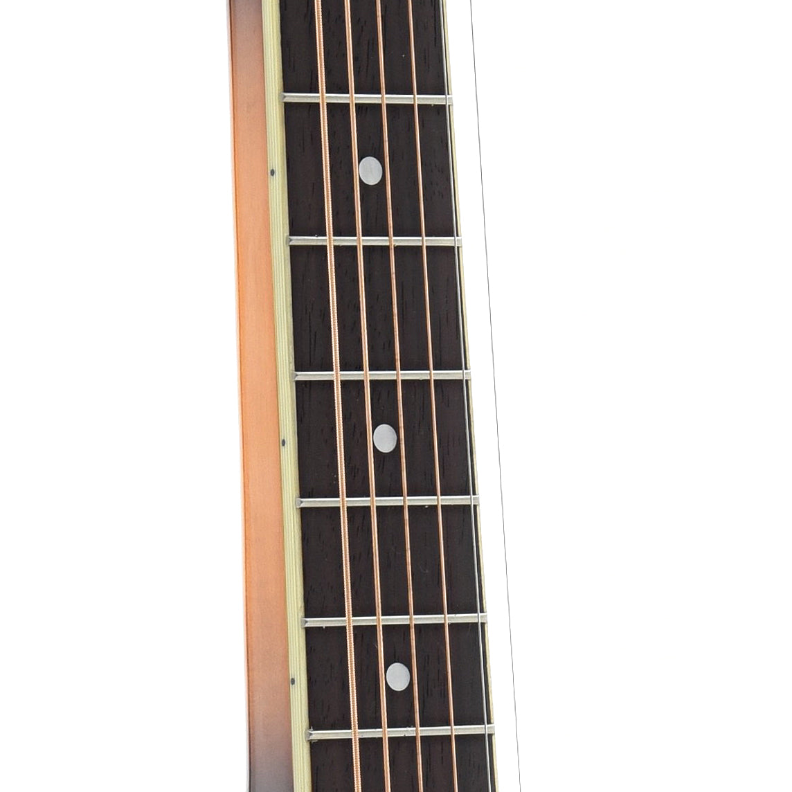 Fretboard of Recording King Phil Leadbetter Signature Squareneck Resonator Guitar