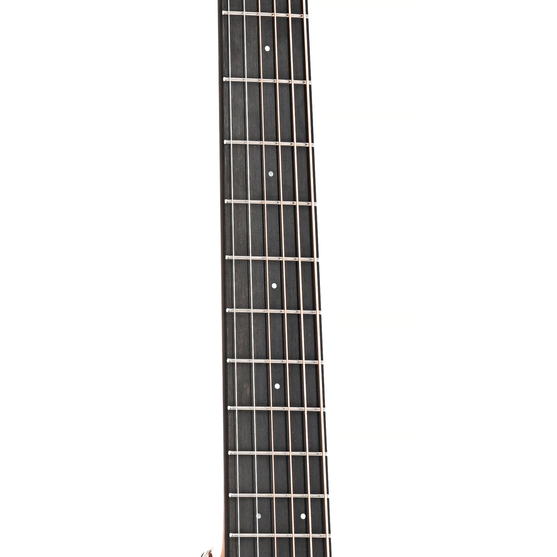 Fretboard of Furch Green D-SR L Acoustic Guitar