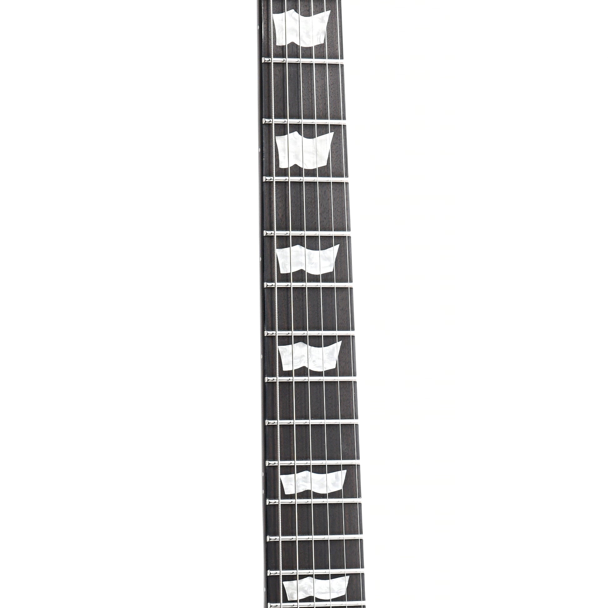 Fretboard of ESP LTD EC-1000 Electric Guitar