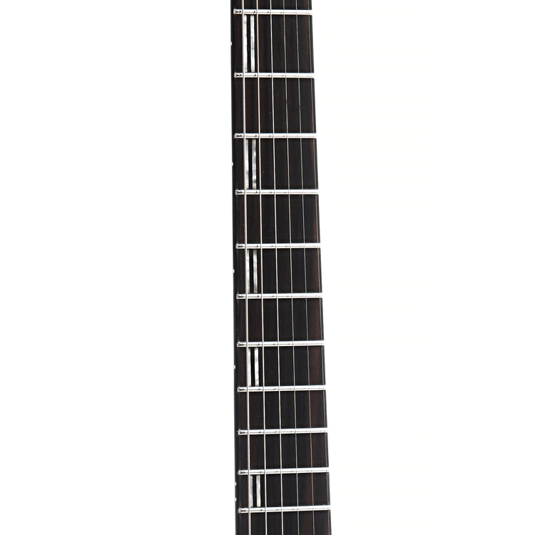 Fretboard of ESP LTD H-1001FR Electric Guitar, Black Natural Burst