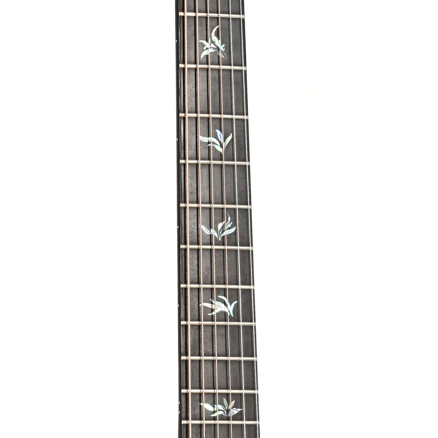 Image 6 of Kepma Elite GA1-120 Grand Auditorium Acoustic Guitar with Case - SKU# GA1-120 : Product Type Flat-top Guitars : Elderly Instruments