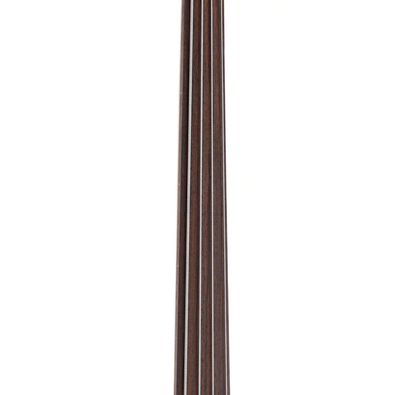 Fretboard of Parts Fretless Bass