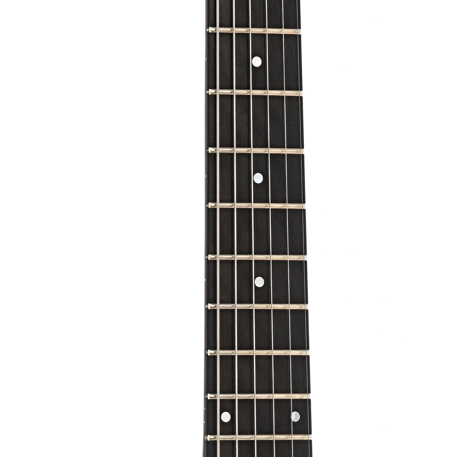 Fretboard of National Resolectric