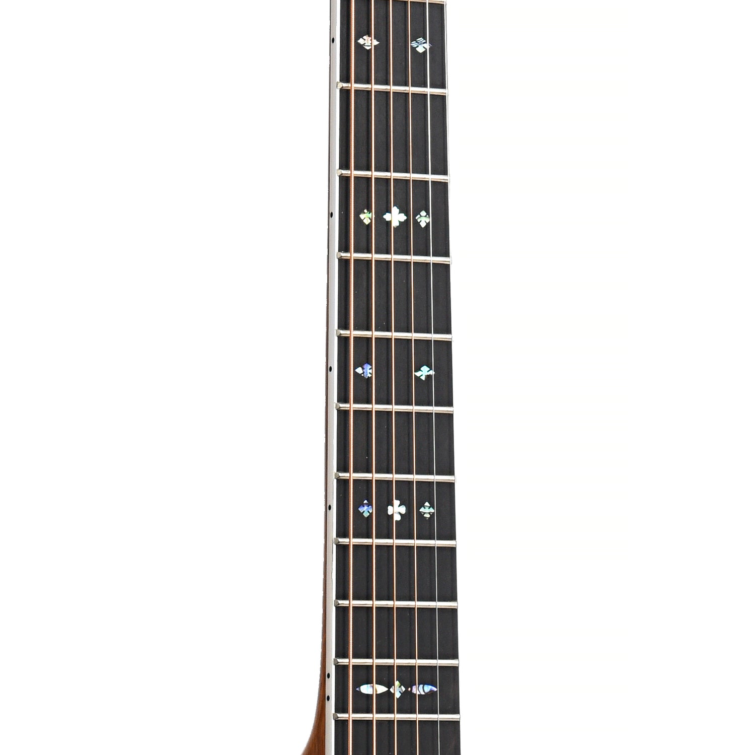 Image 6 of Blueridge BR-183CE 000 Acoustic-Electric Guitar & Gigbag - SKU# BR183CE : Product Type Flat-top Guitars : Elderly Instruments