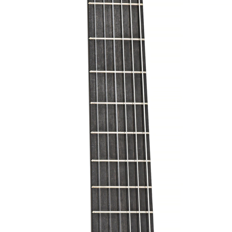 Fretboard of Cordoba C10 Lefthanded Classical Guitar, Cedar Top