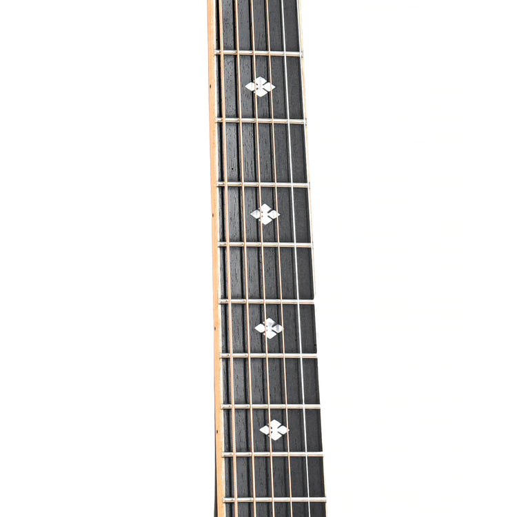 Fretboard of Gold Tone PBR-CA Resonator Guitar