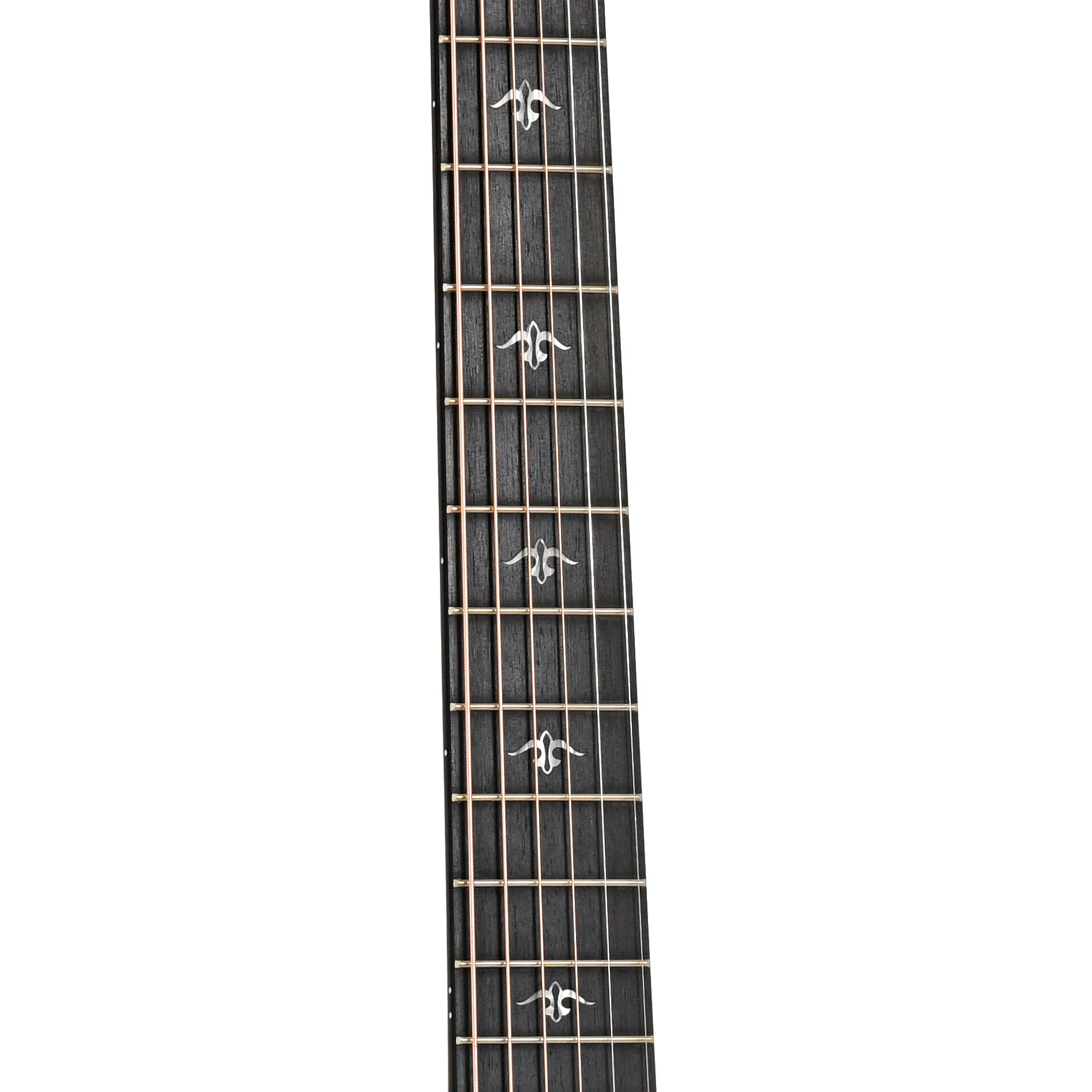 Fretboard of Taylor 514ce Acoustic Guitar 