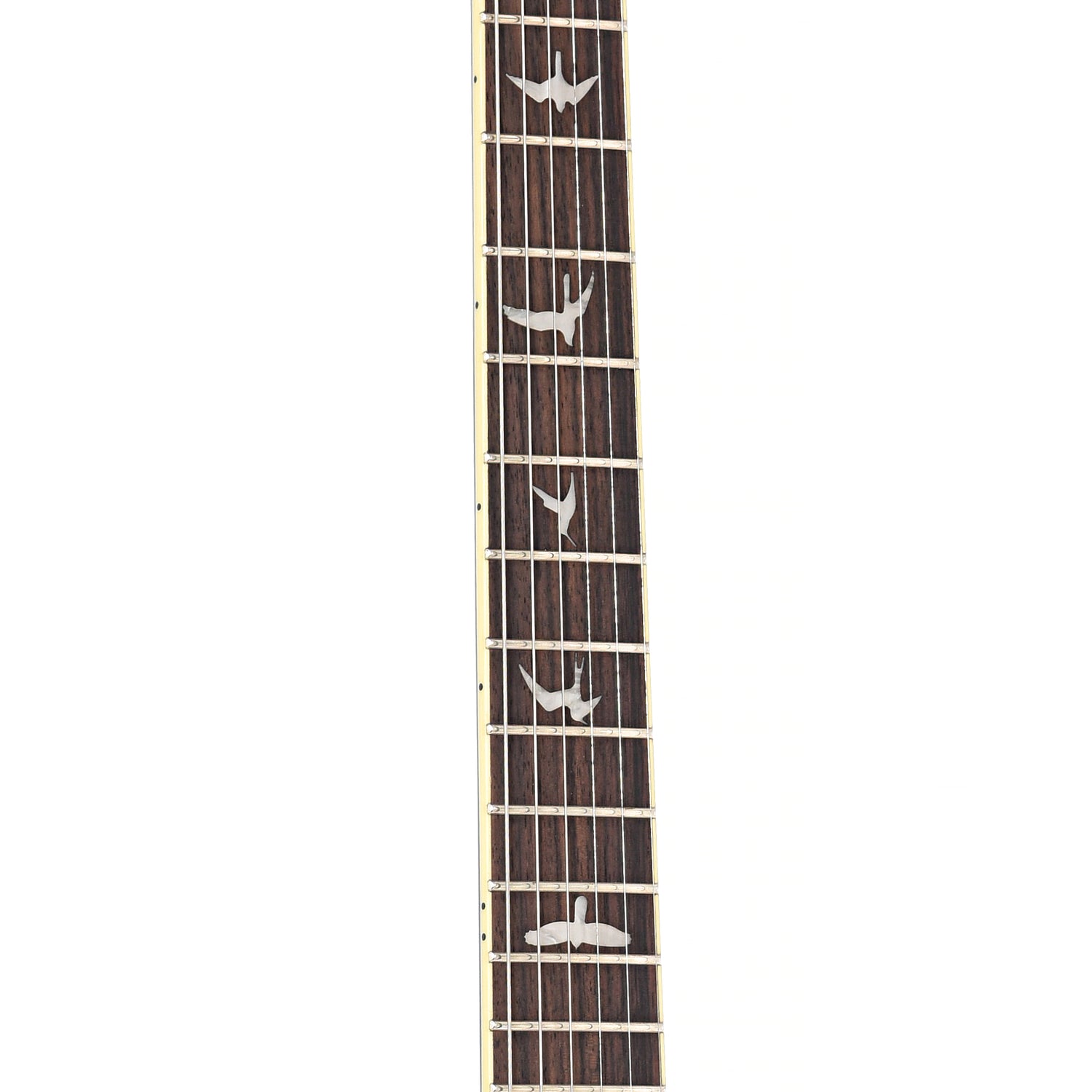 Fretboard of PRS SE Standard 24-08 Electric Guitar