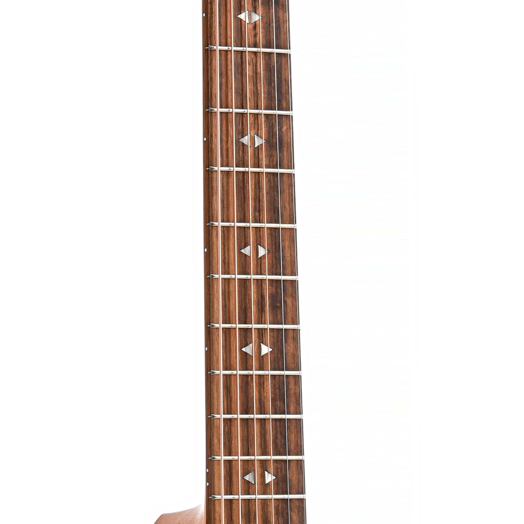 Image 6 of Taylor GTe Urban Ash Acoustic/Electric Guitar & Gigbag - SKU# GTEUA : Product Type Flat-top Guitars : Elderly Instruments