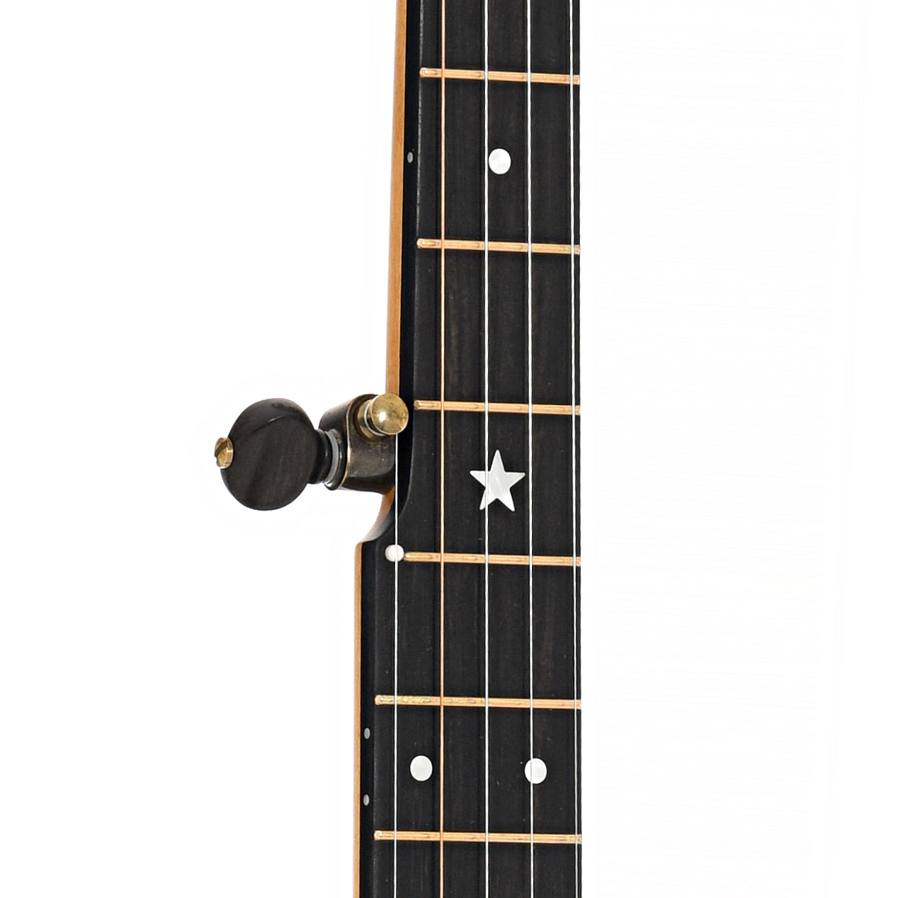 Fretboard of Rickard 11" Dobson Openback Banjo
