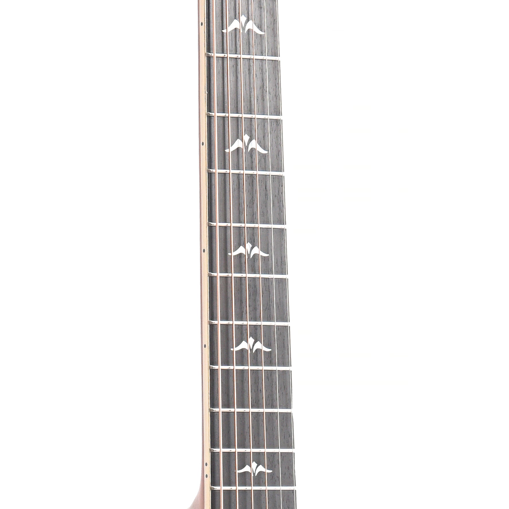 Fretboard of Furch Orange Master's Choice OMc-SR SPA Acoustic-Electric Guitar