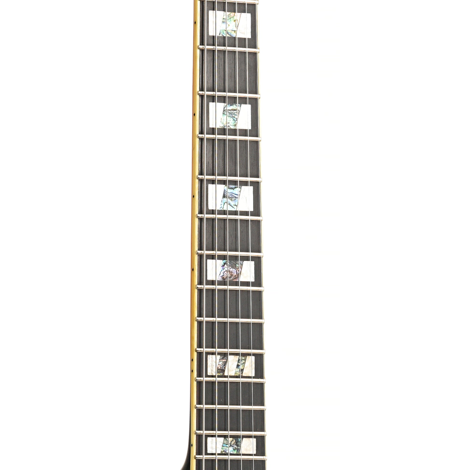 Fretboard of Ibanez JSM10 Semi-Hollowbody Guitar