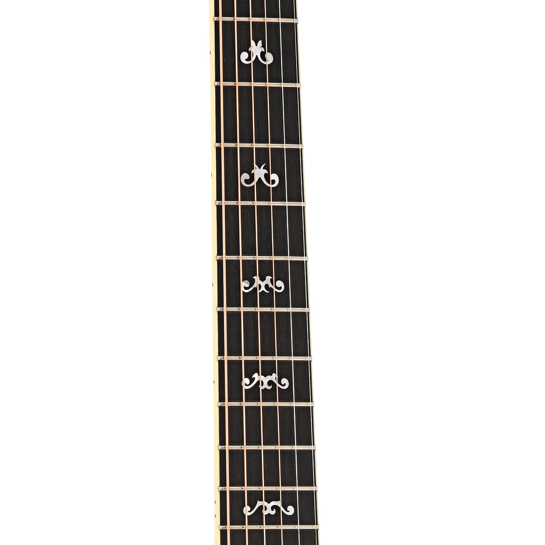 Fretboard of Taylor 914ce Acoustic 