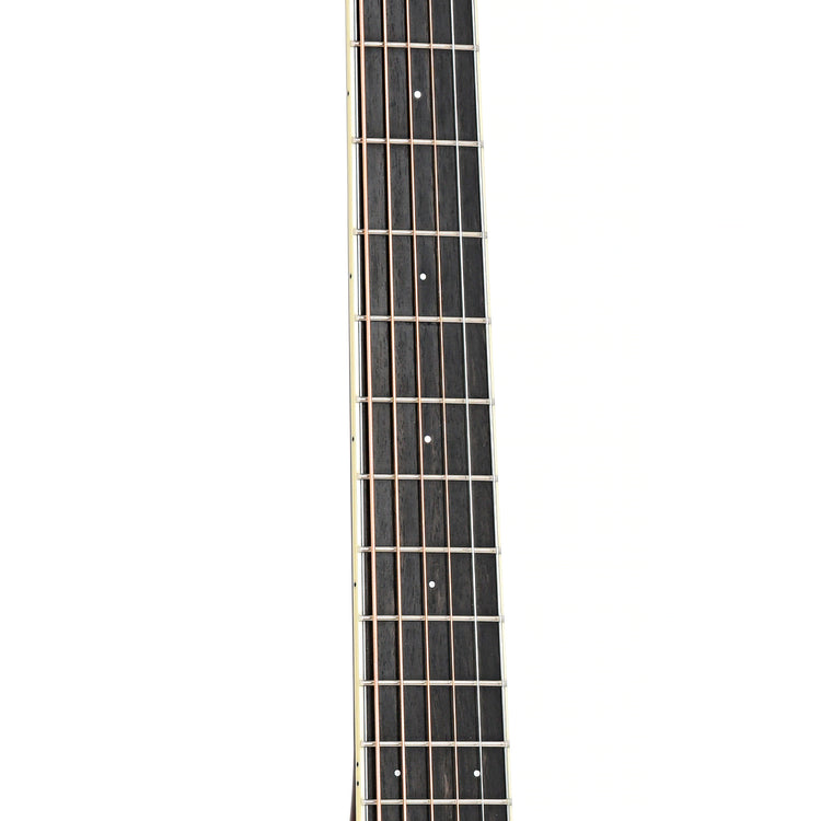 Image 6 of Santa Cruz Custom Model F Guitar & Case- SKU# SCF-101 : Product Type Flat-top Guitars : Elderly Instruments