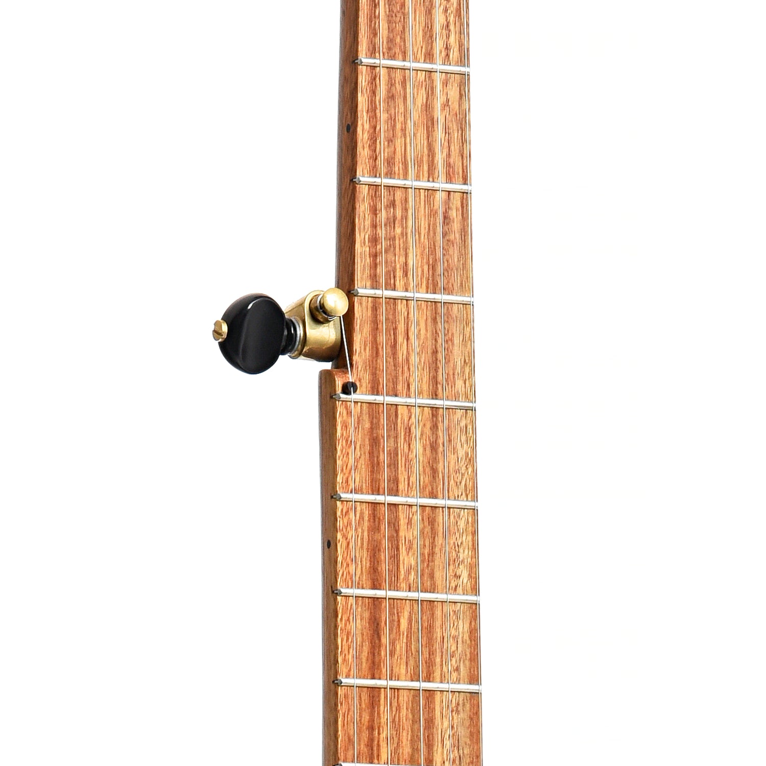 Image 5 of Dogwood Banjo Co. 12" Openback Banjo, No. 163 - SKU# DW163 : Product Type Open Back Banjos : Elderly Instruments
