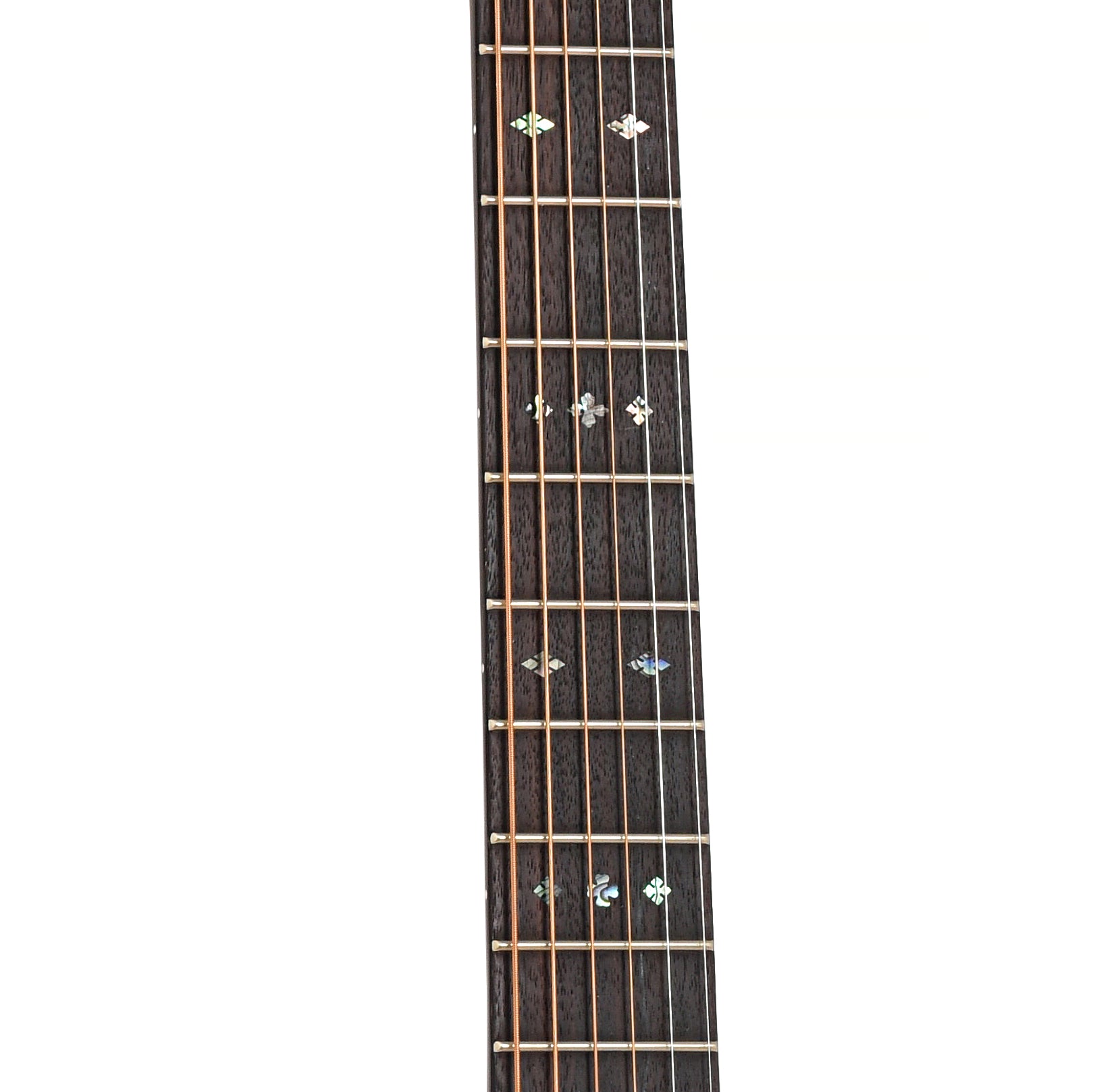 Fretboard of Blueridge Historic Series BR-163CE Acoustic-Electric Guitar
