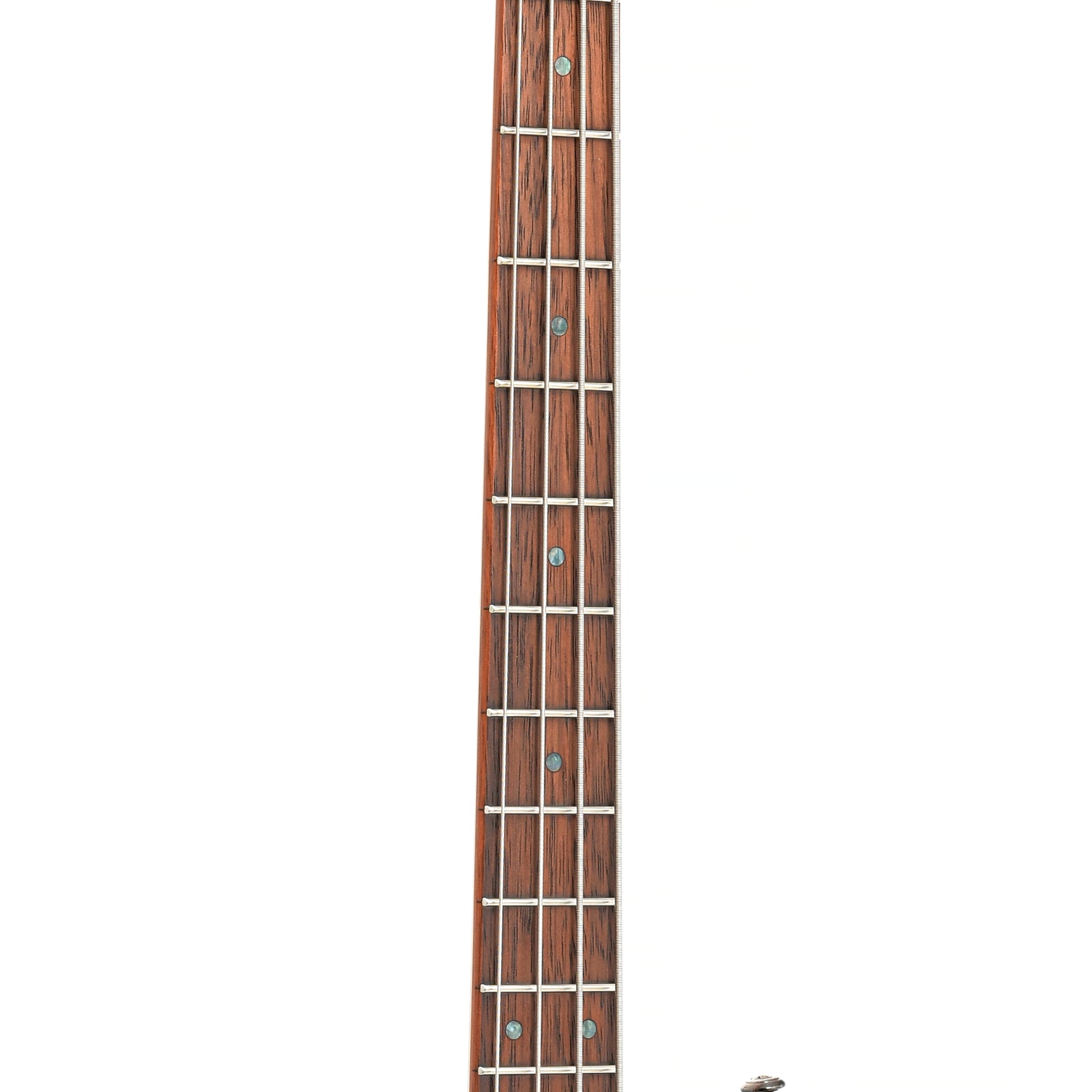 fretboard of ESP LTD Left Handed B-204SM Spalted Maple Natural Satin 4-String Bass