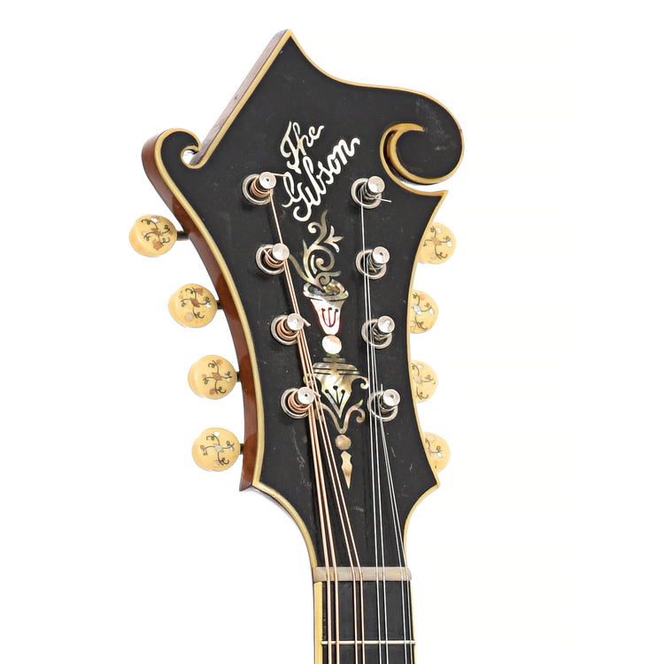 Front headstock of Gibson F-4 Mandolin 