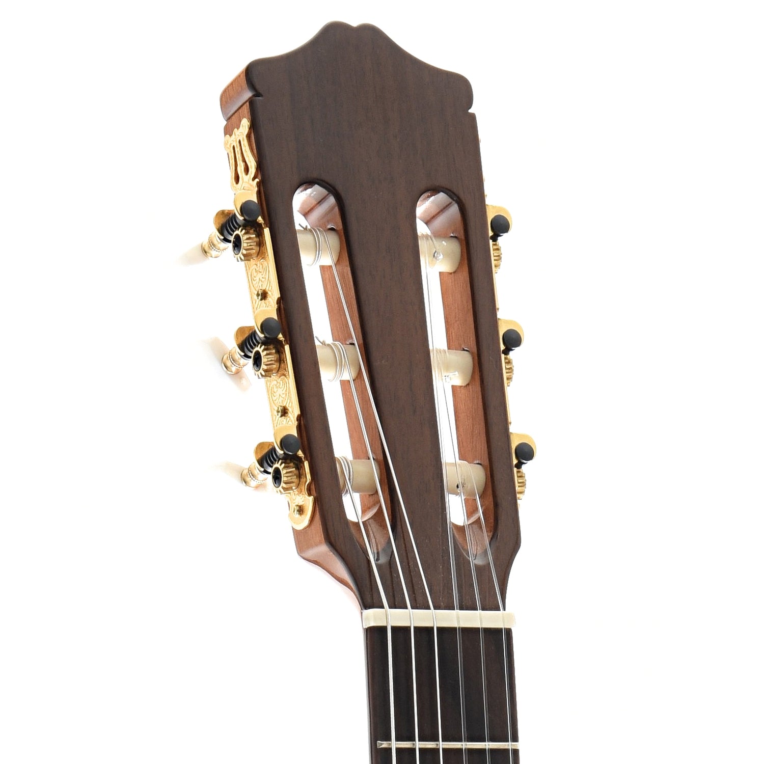 Image 6 of Cordoba Cadete Classical Guitar - SKU# CADETE : Product Type Classical & Flamenco Guitars : Elderly Instruments