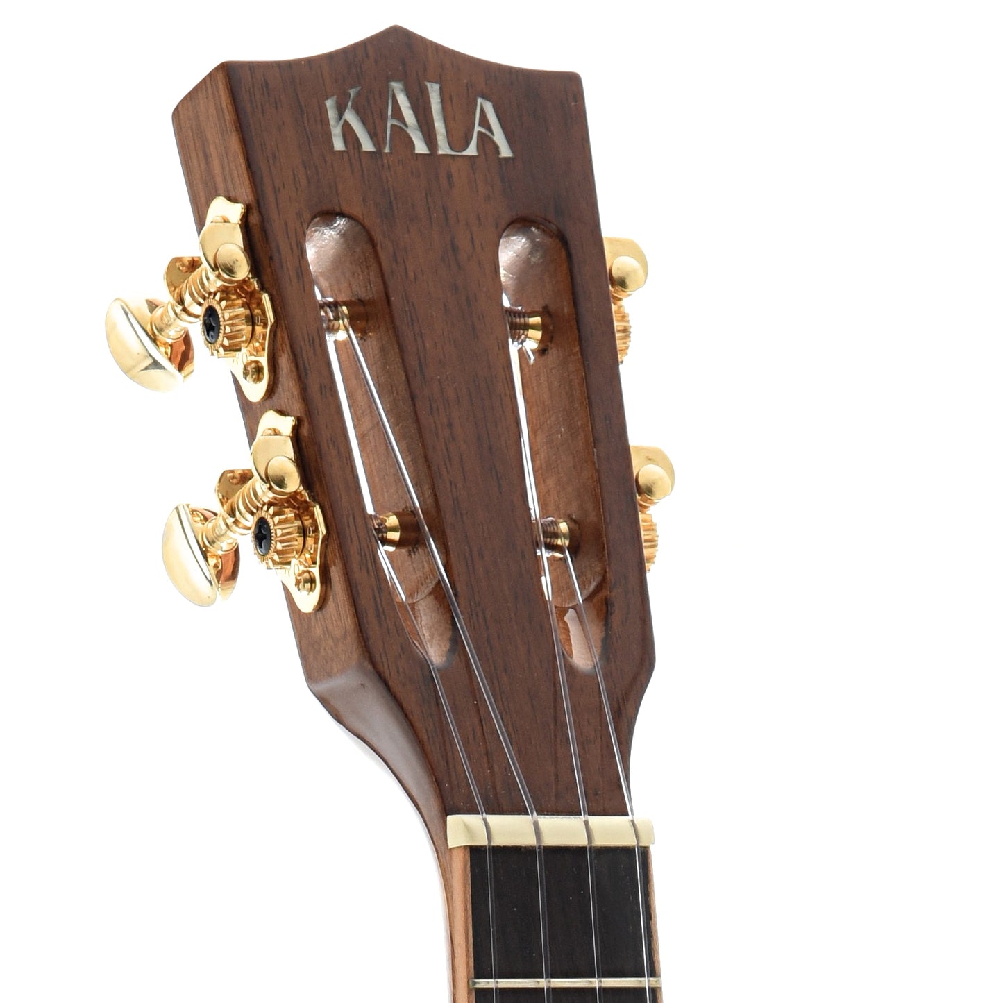 Image 6 of Kala KA-KCG Hawaiian Koa Gloss Concert Ukulele - SKU# KAKG-C : Product Type Concert Ukuleles : Elderly Instruments