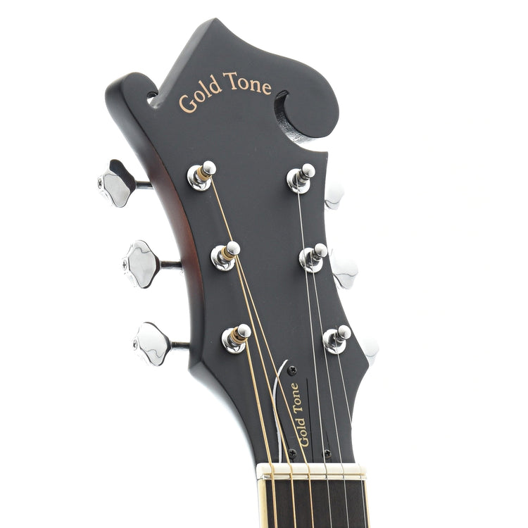 Front Headstock of Gold Tone F-6 Manditar 